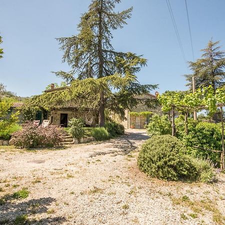 Appartamento Gemma Verde-Tavoleto Castiglione dʼOrcia Exterior foto