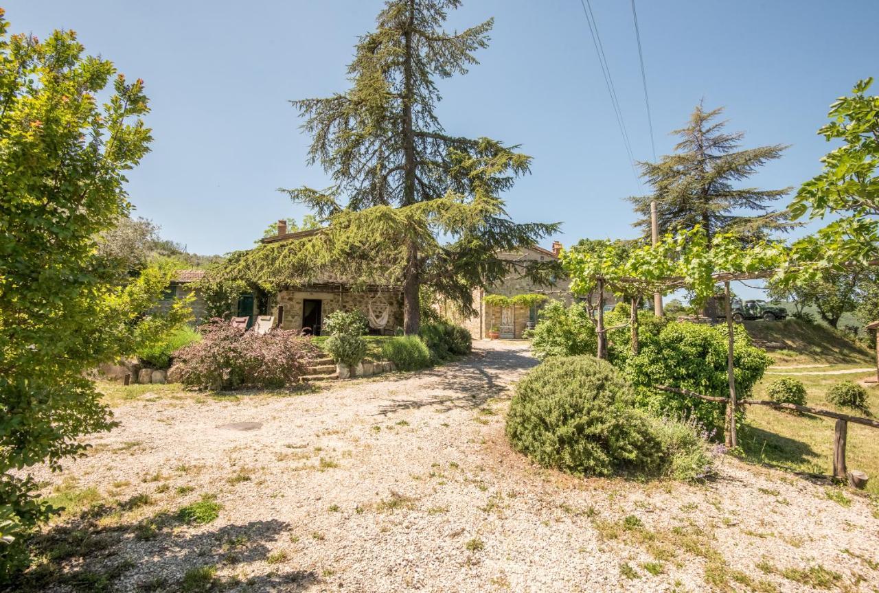 Appartamento Gemma Verde-Tavoleto Castiglione dʼOrcia Exterior foto