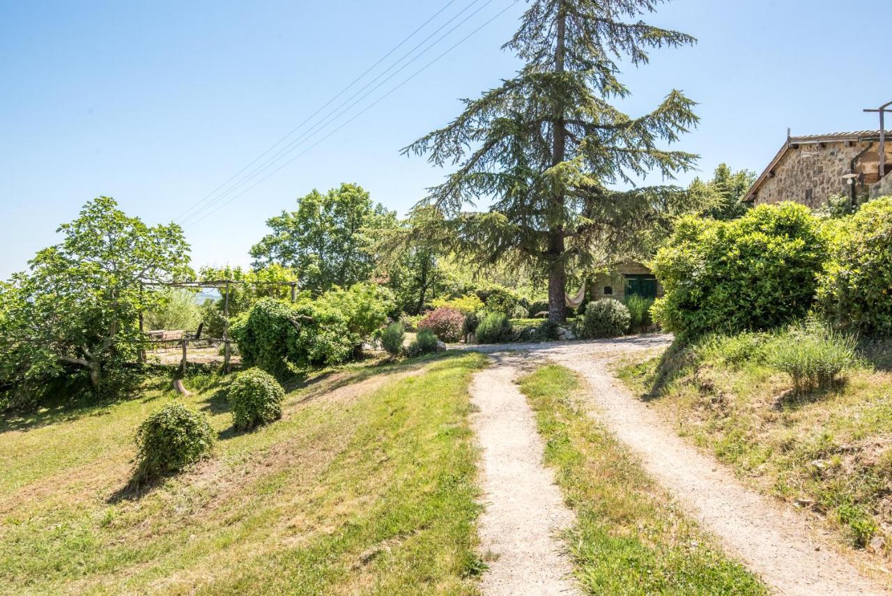 Appartamento Gemma Verde-Tavoleto Castiglione dʼOrcia Exterior foto